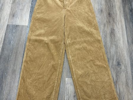 Pants Corduroy By Wrangler  Size: 12 Online