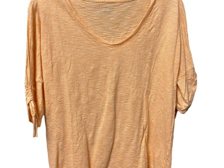 Top 3 4 Sleeve By Talbots  Size: M on Sale