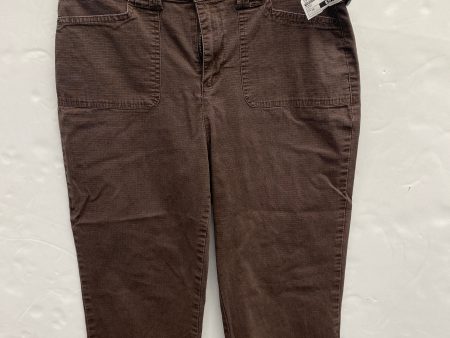 Pants By Christopher And Banks  Size: 10 Fashion