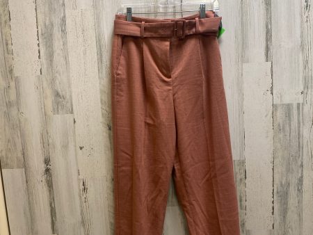 Pants Ankle By Ann Taylor  Size: 12 For Discount